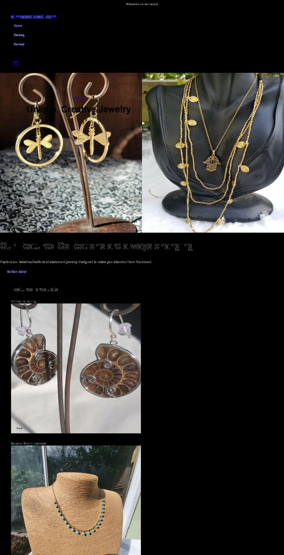 aimeescloset.com shopify website screenshot