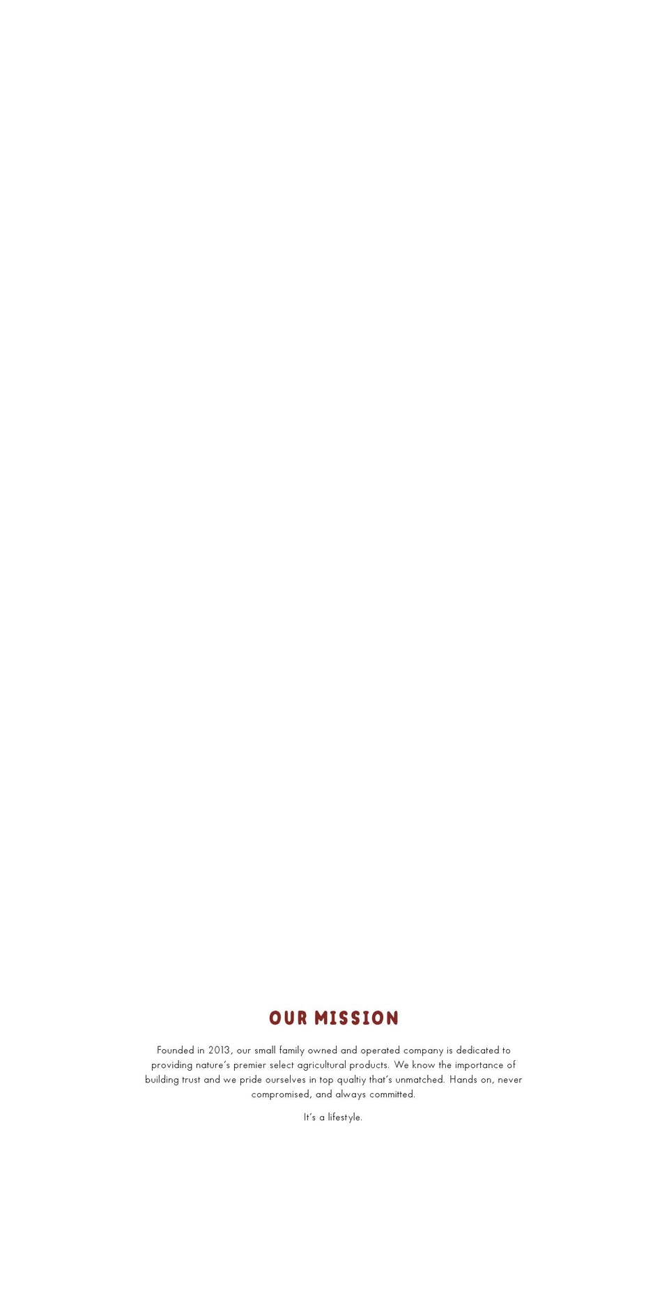 ainacompany.com — Shopify storefront screenshot