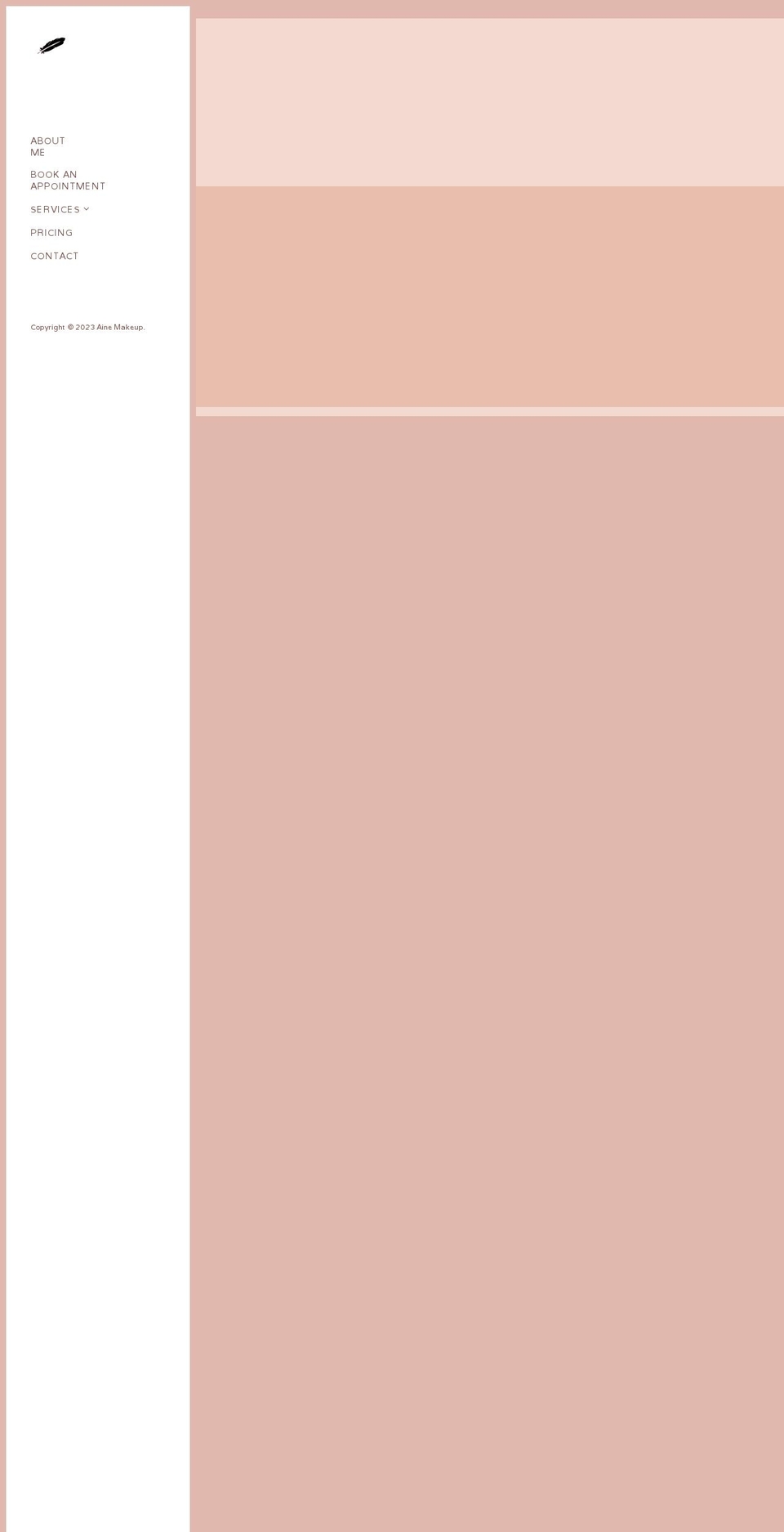 ainemakeup.com — Shopify storefront screenshot