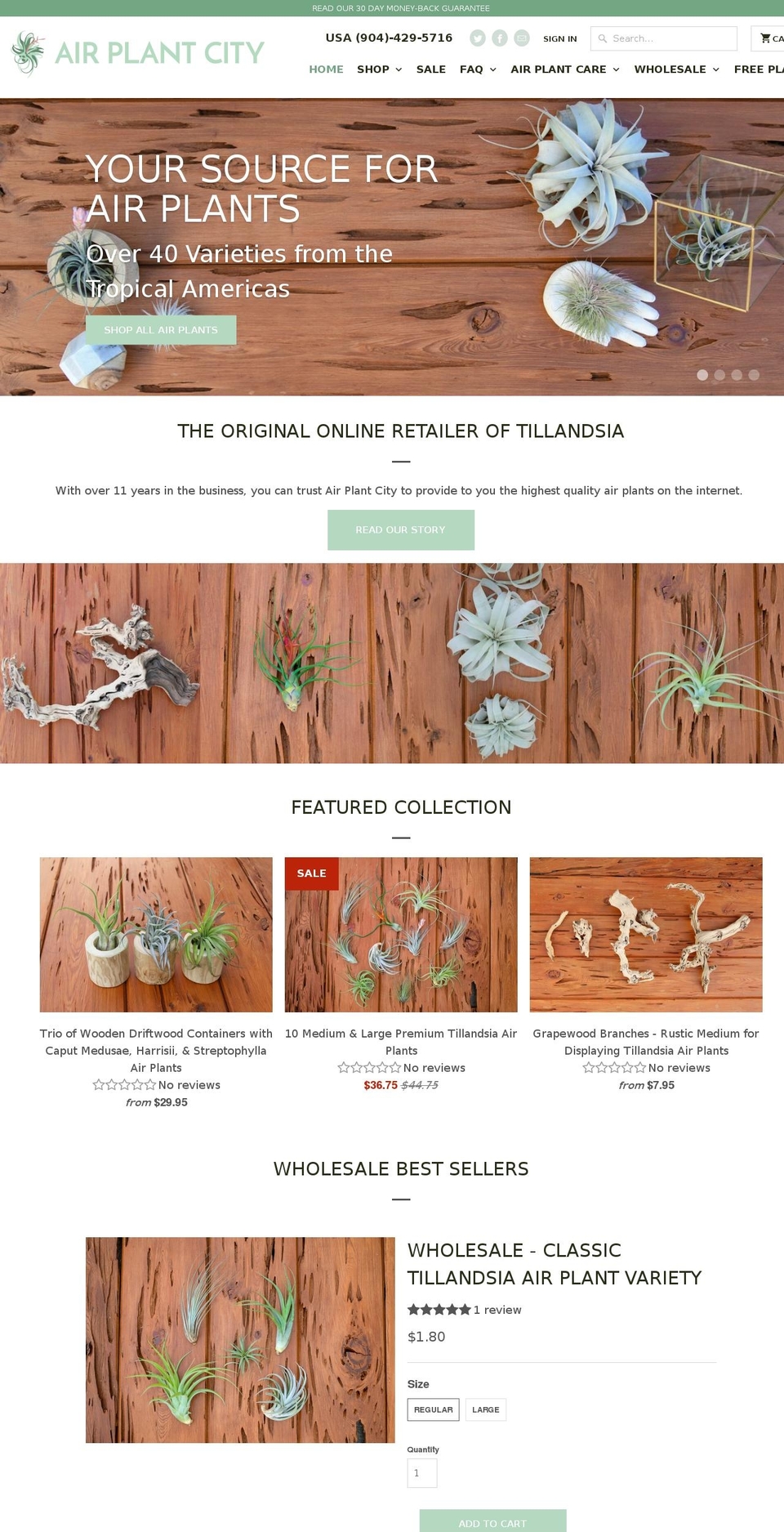 Expanse Shopify theme site example airplantcity.com