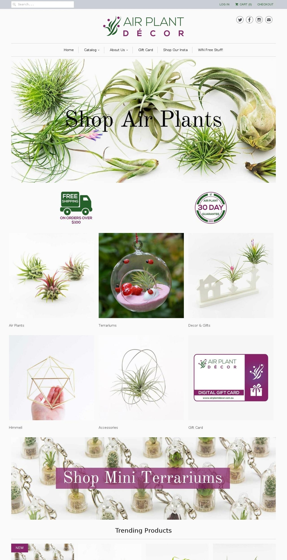 airplantdecor.com.au shopify website screenshot