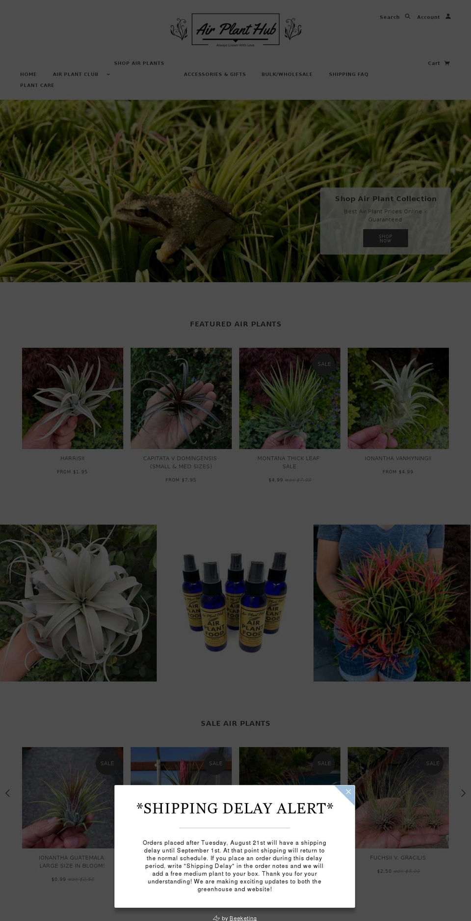 airplanthub.com shopify website screenshot