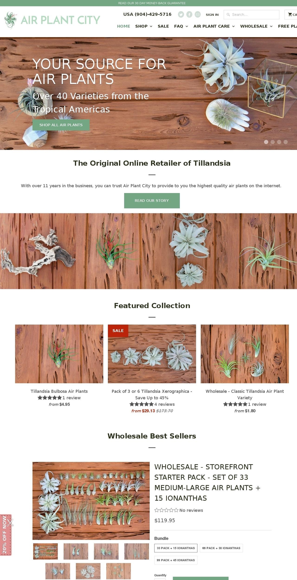 airplants-online.com shopify website screenshot