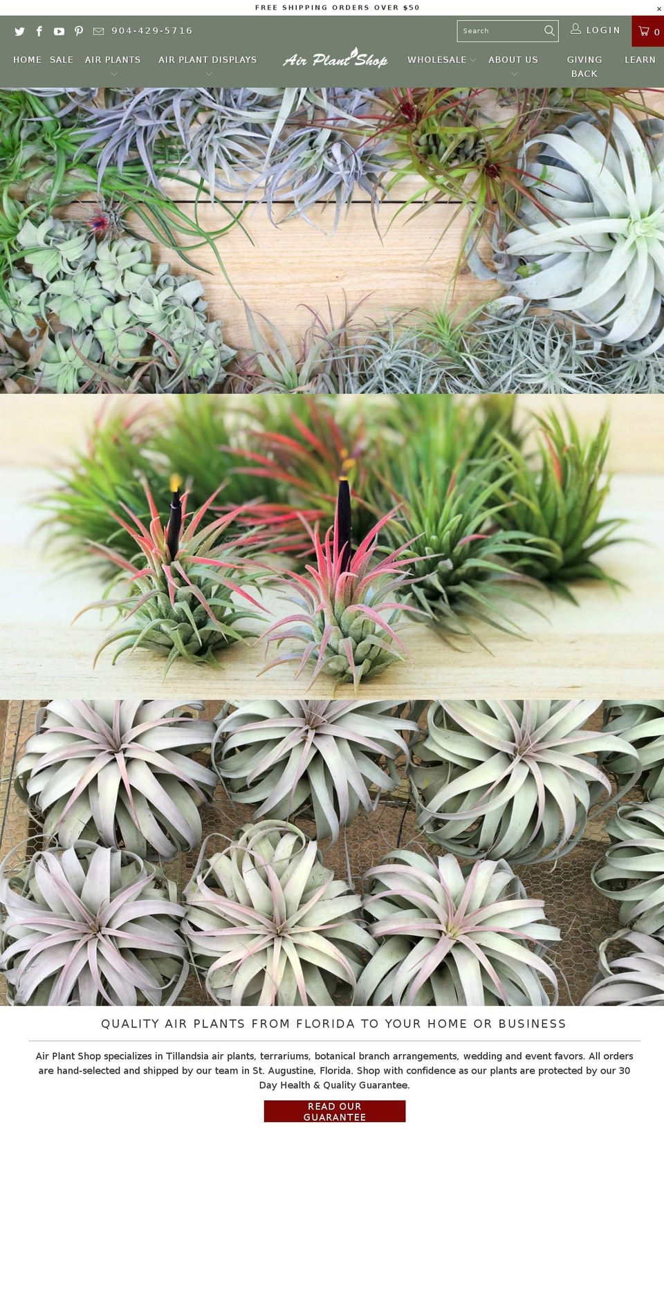 airplantshop.com shopify website screenshot