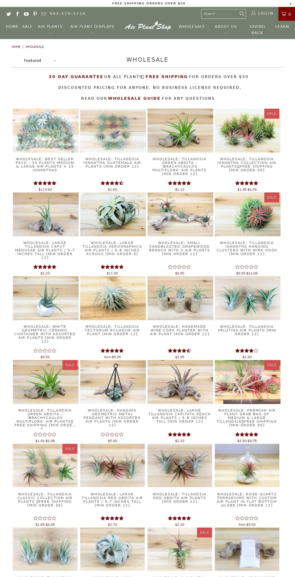 airplantwholesale.com — Shopify storefront screenshot