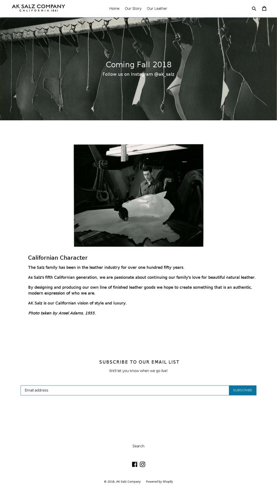 aksalz.com shopify website screenshot