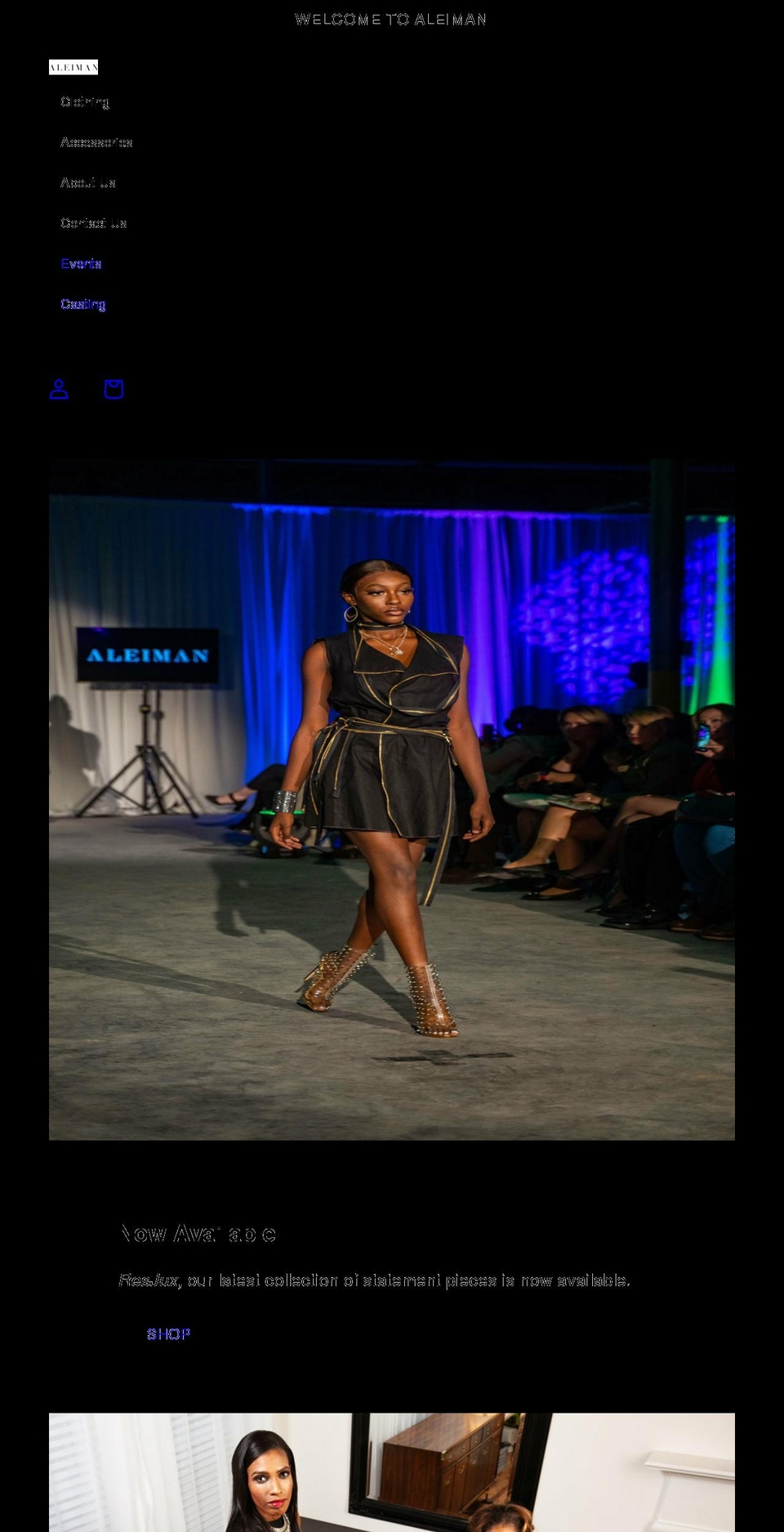 aleiman.com shopify website screenshot