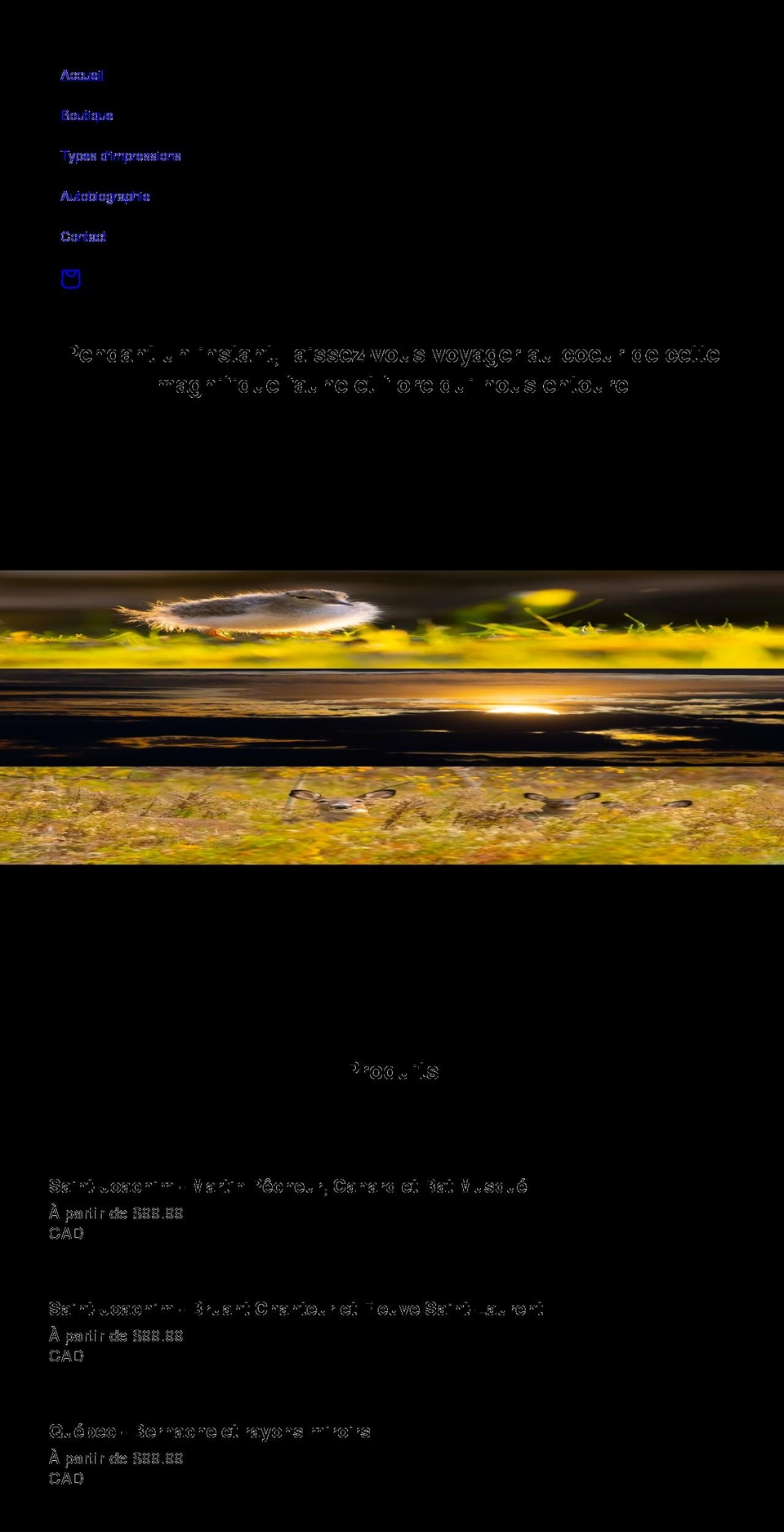 alexismichaud.com shopify website screenshot