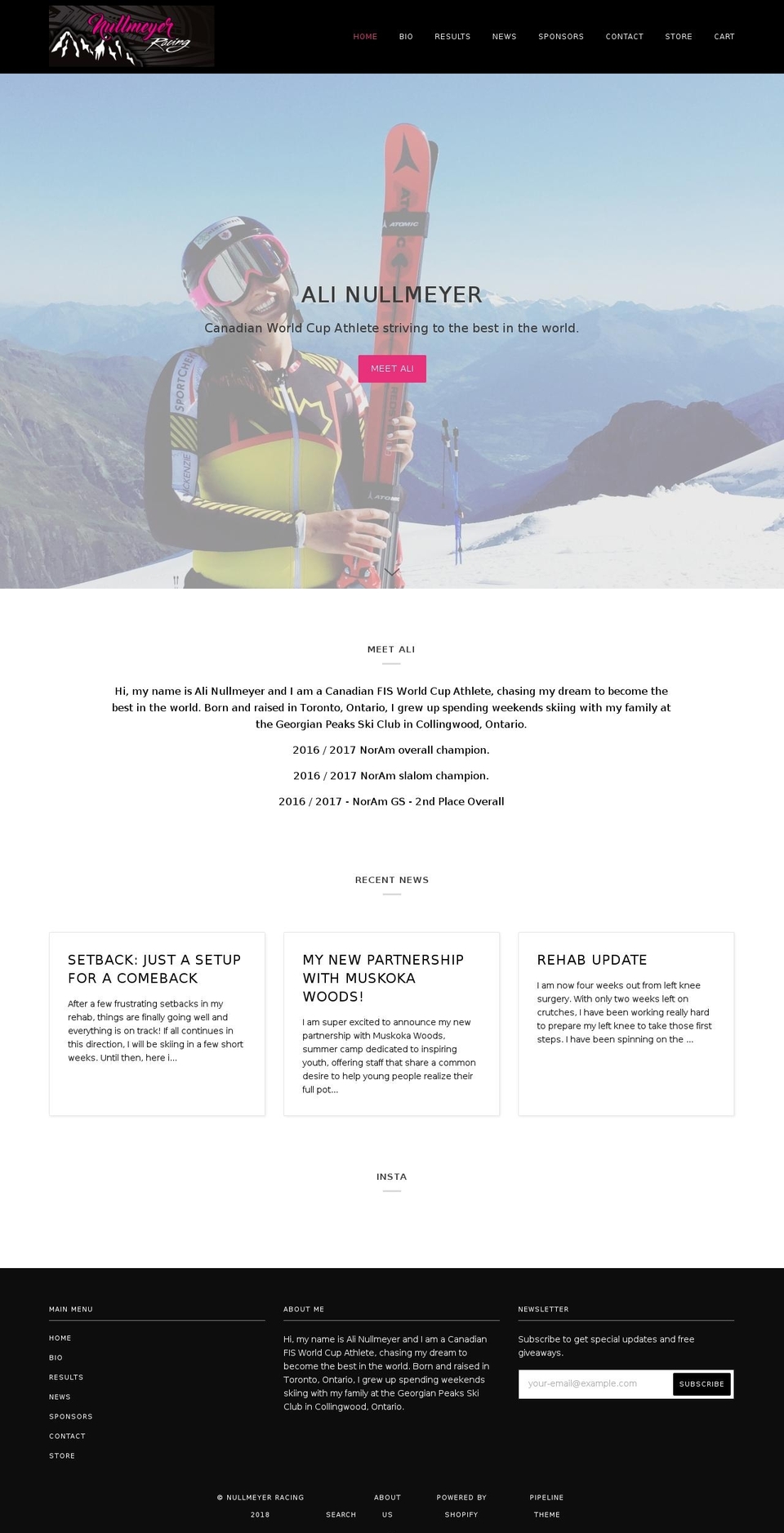 alinullmeyer.com shopify website screenshot
