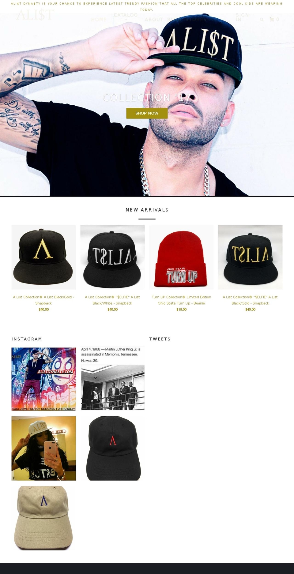 alistdynasty.com shopify website screenshot
