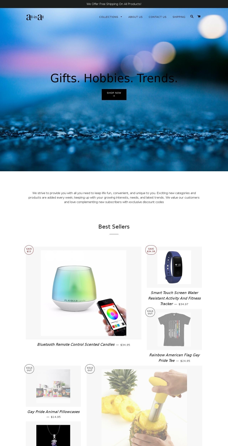 all-in-all-shop.com — Shopify storefront screenshot