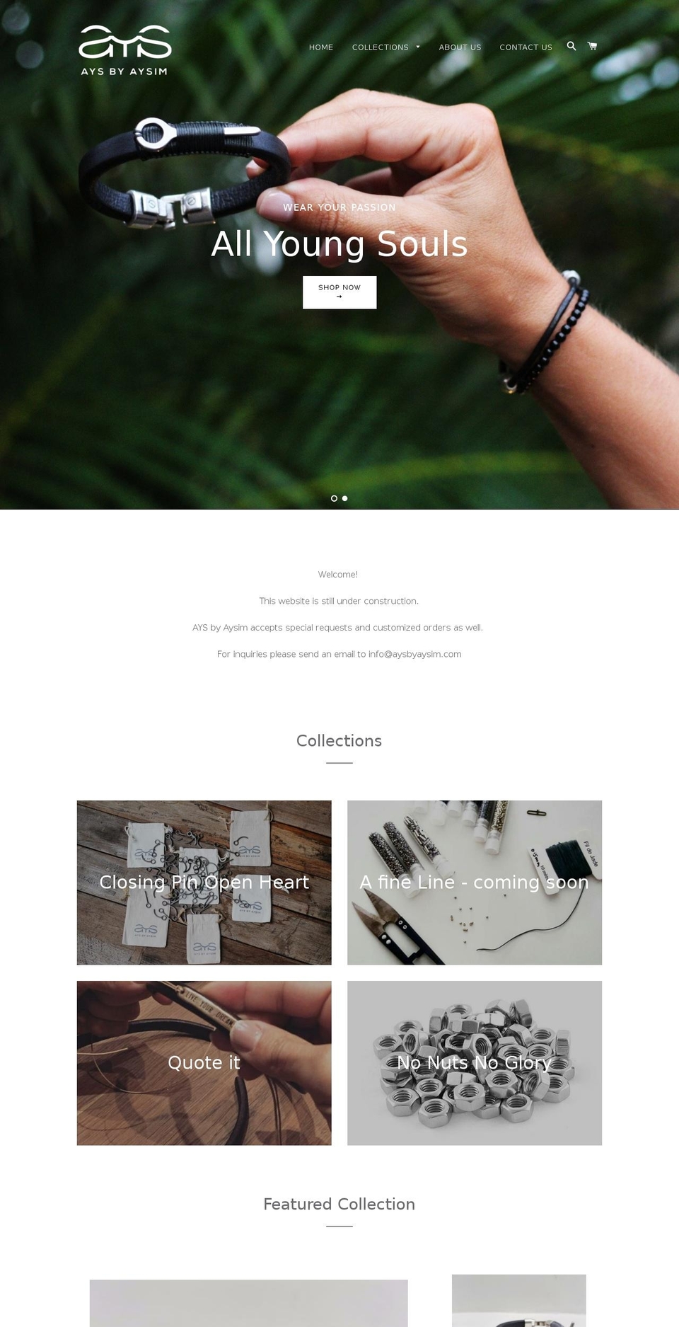 allyoungsouls.com — Shopify storefront screenshot