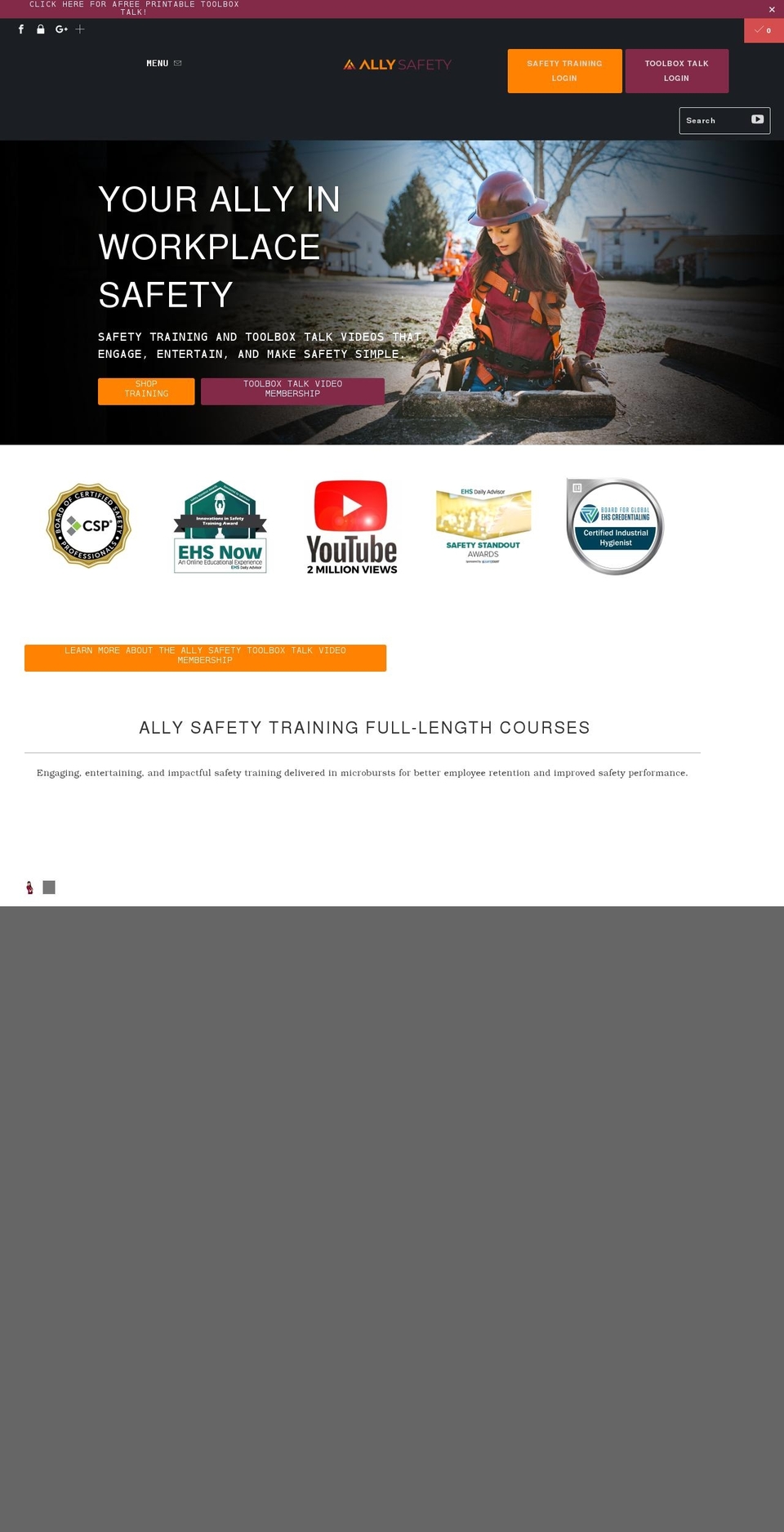 allysafety.com shopify website screenshot