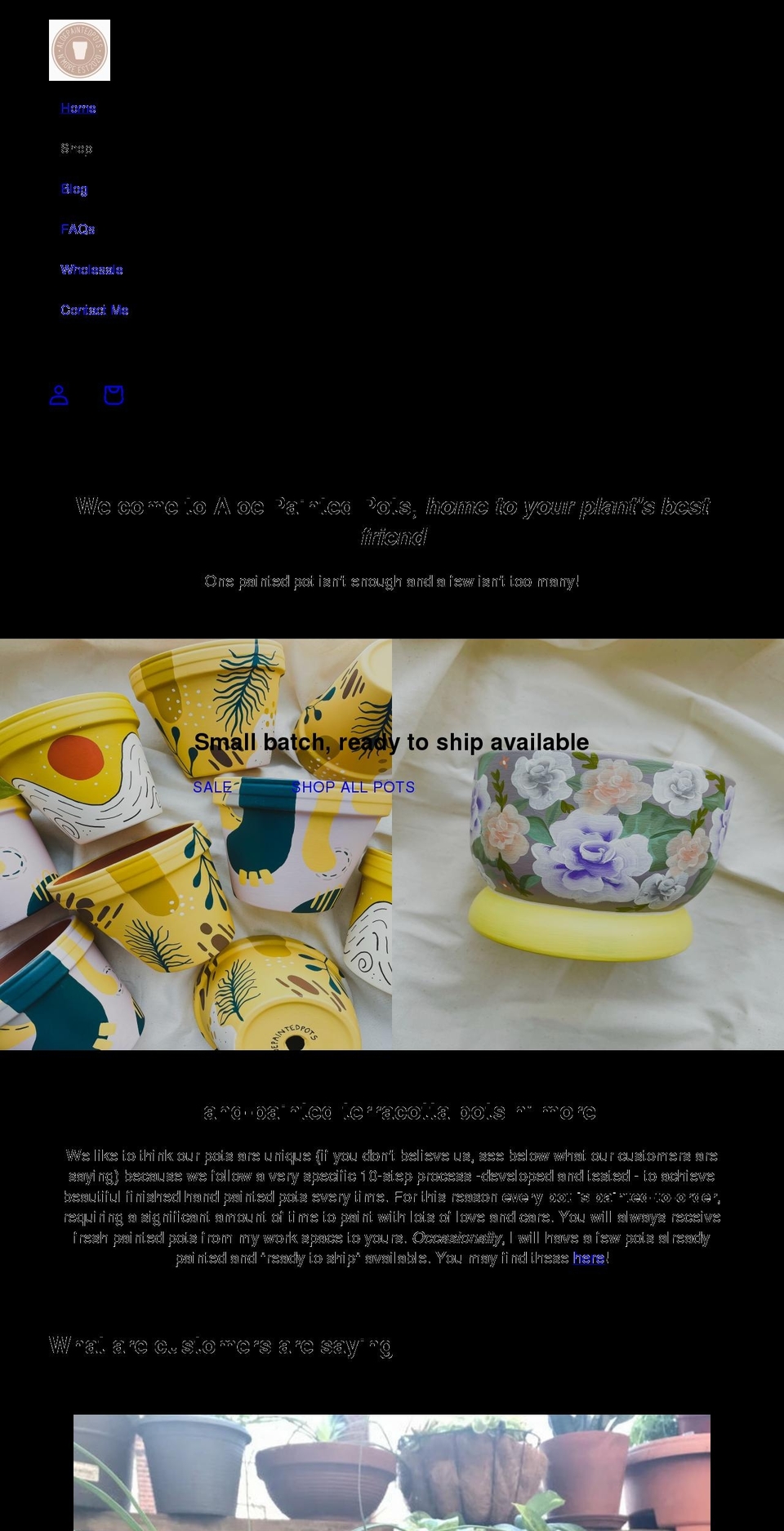 aloepaintedpots.com shopify website screenshot