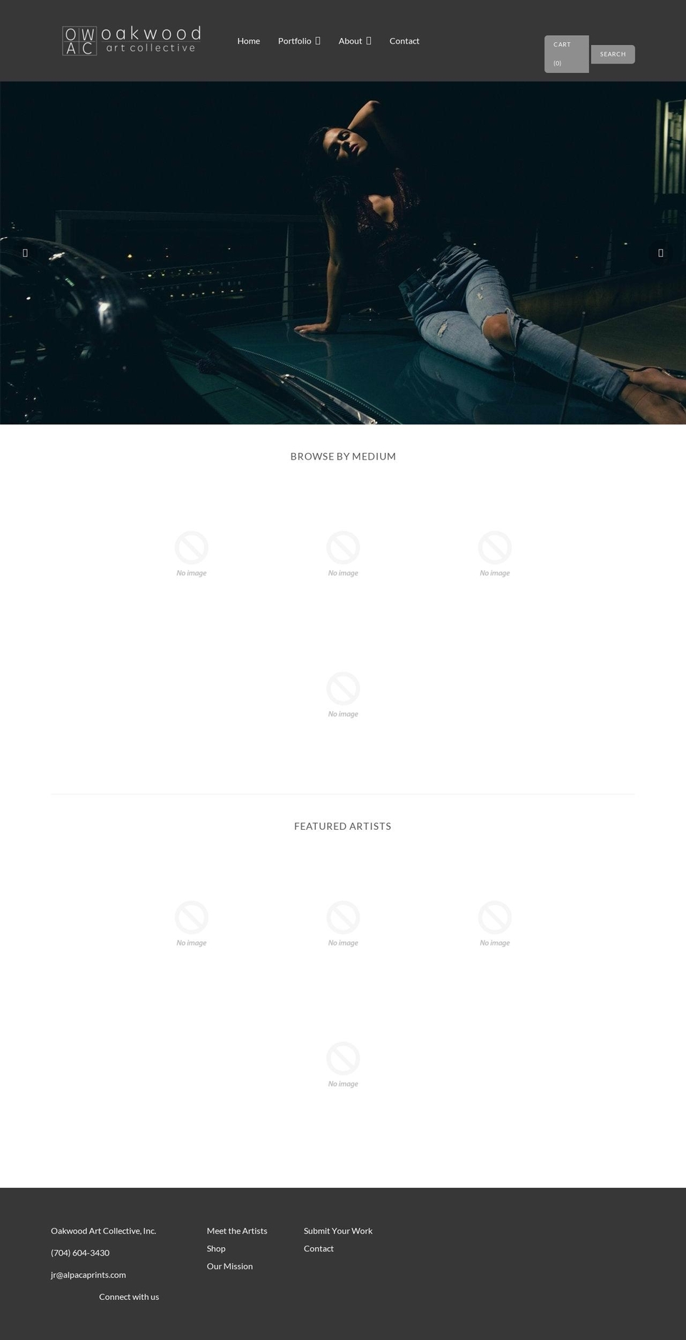 alpacaprints.com shopify website screenshot