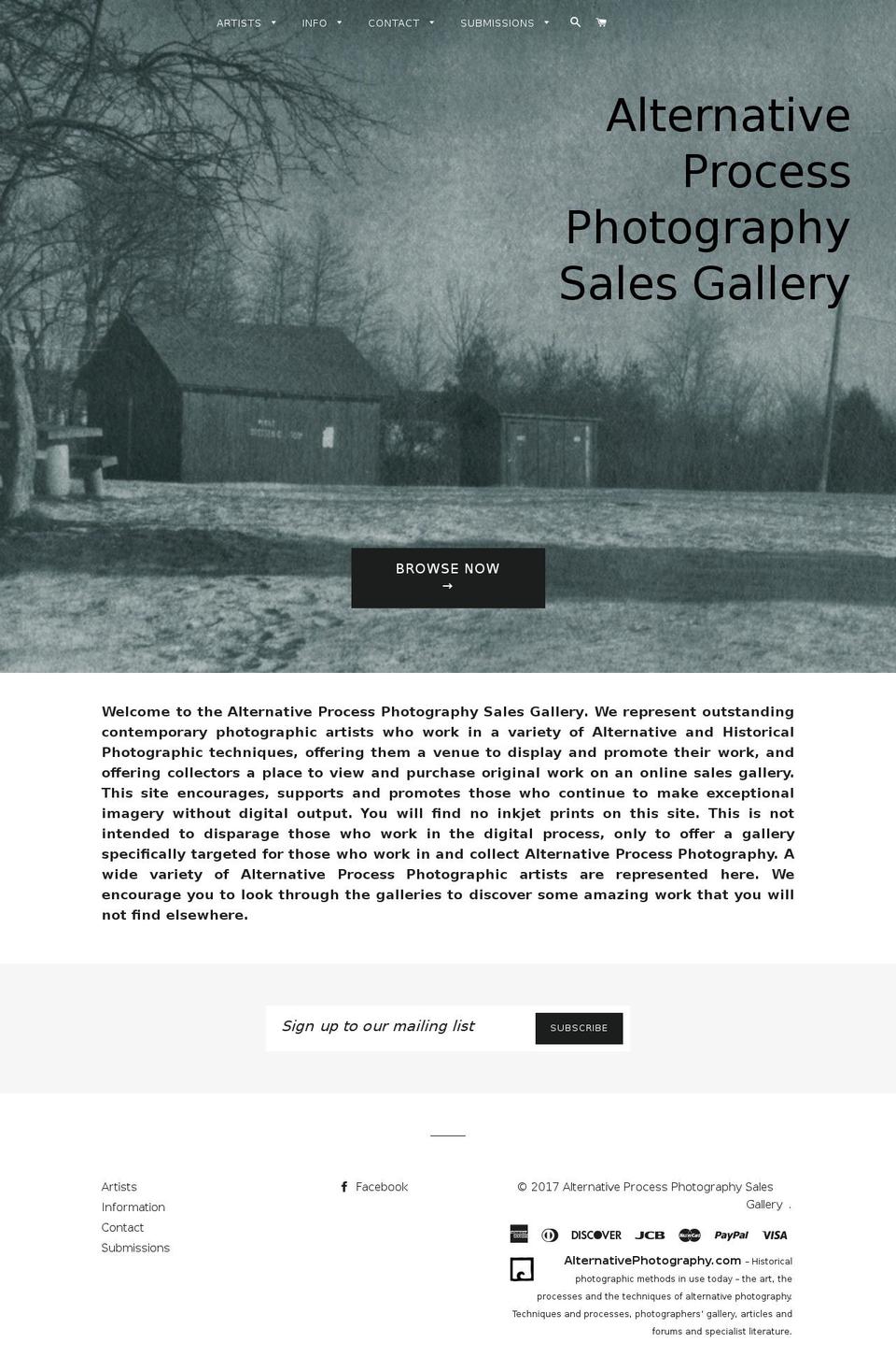 alternativeprocessgallery.org shopify website screenshot