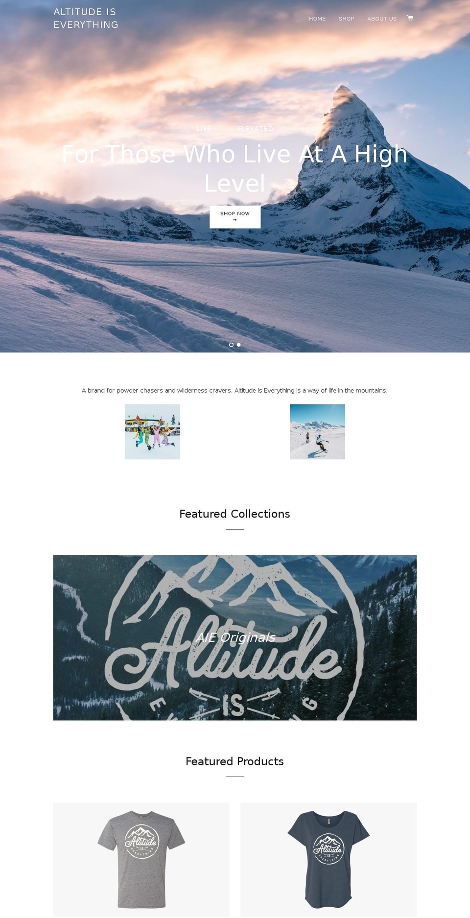 altitudeiseverything.com — Shopify storefront screenshot
