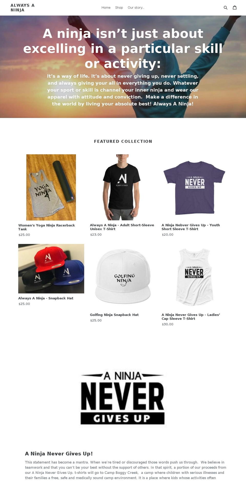 alwaysaninja.com shopify website screenshot
