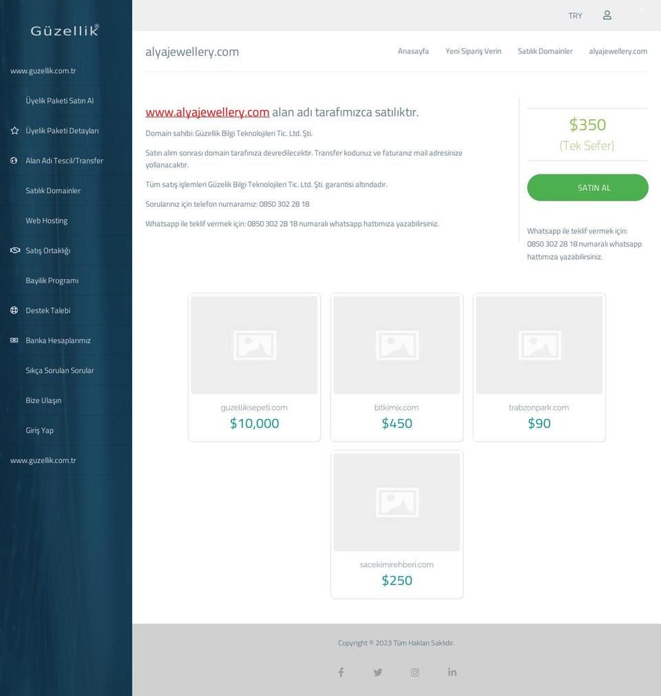 alyajewellery.com — Shopify storefront screenshot
