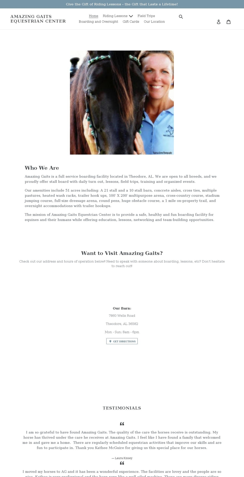 amazinggaits.net shopify website screenshot