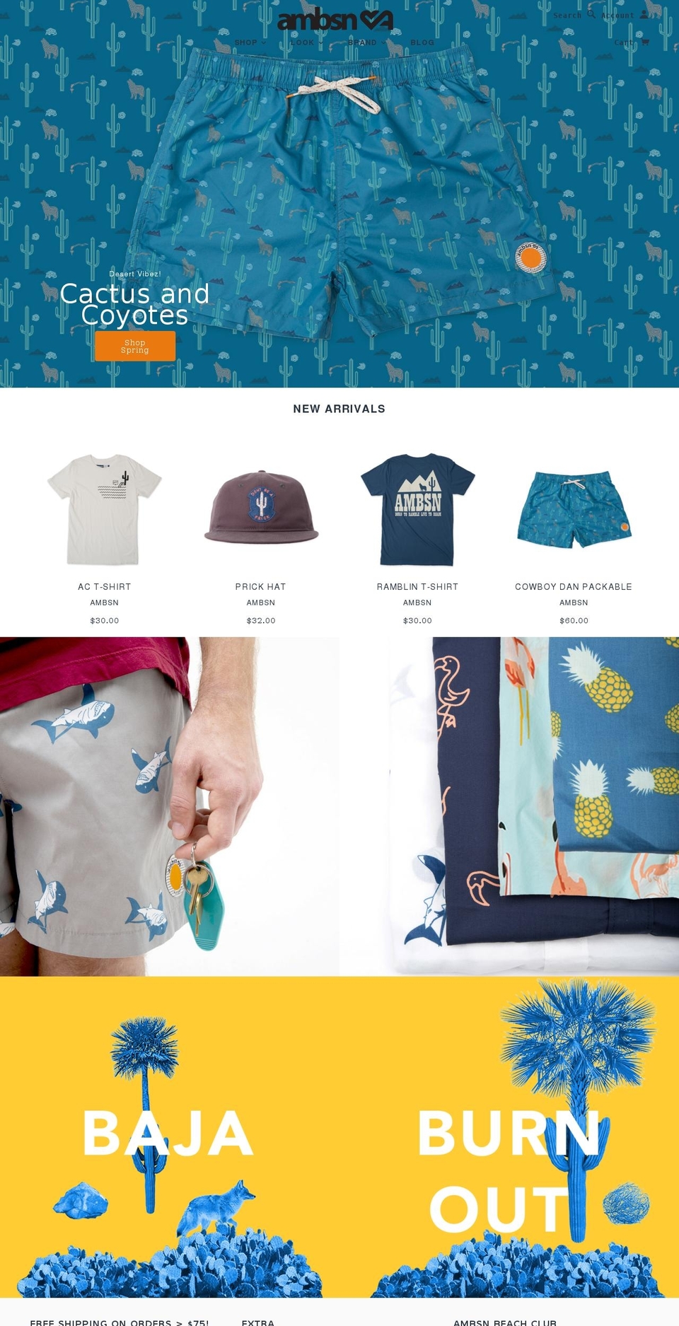 Emerge Shopify theme site example ambsn.com