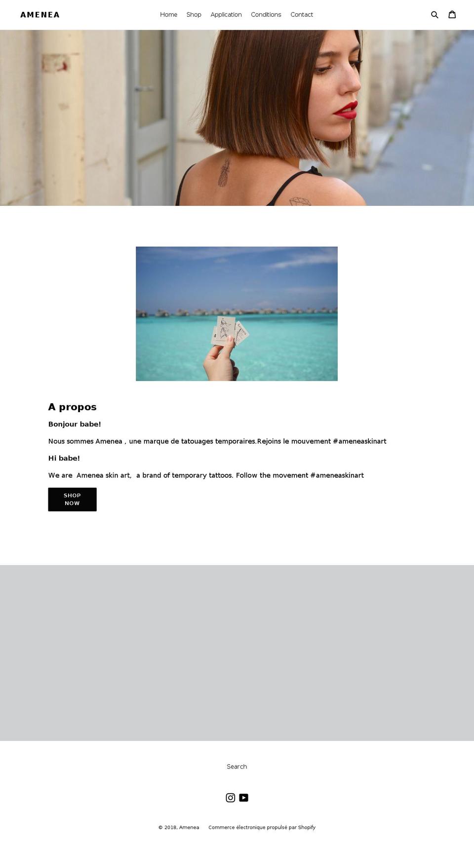 ameneaskinart.com — Shopify storefront screenshot