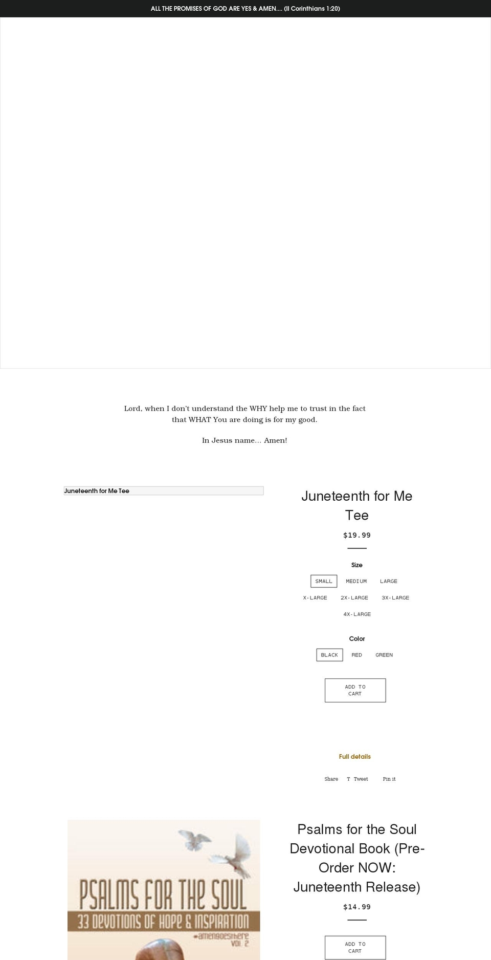 amengoesthere.net shopify website screenshot