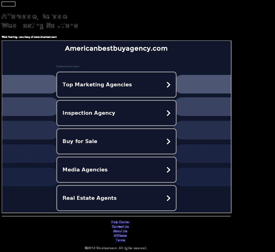 americanbestbuyagency.com — Shopify storefront screenshot