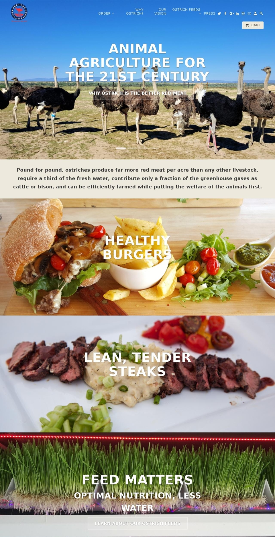 americanostrichfarms.com shopify website screenshot