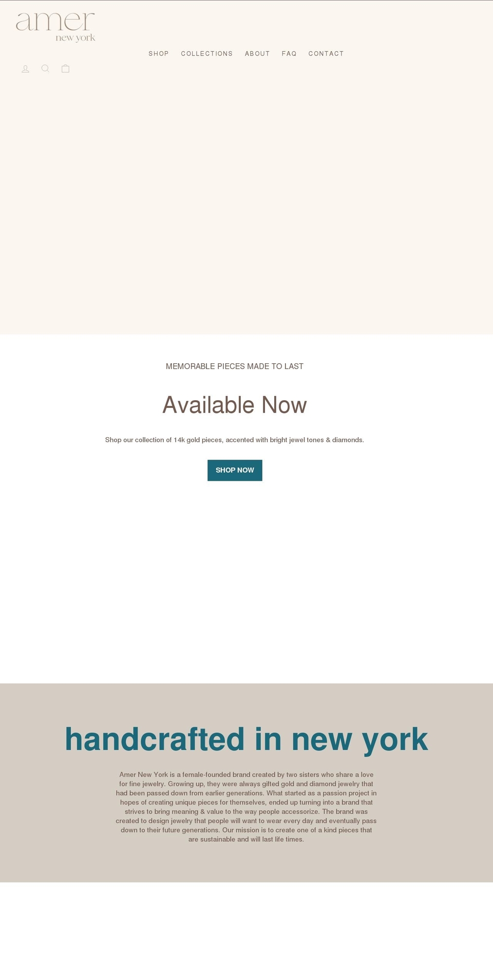 amernewyork.com shopify website screenshot