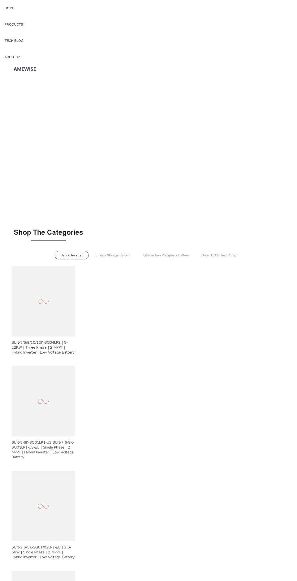 amewise.com shopify website screenshot