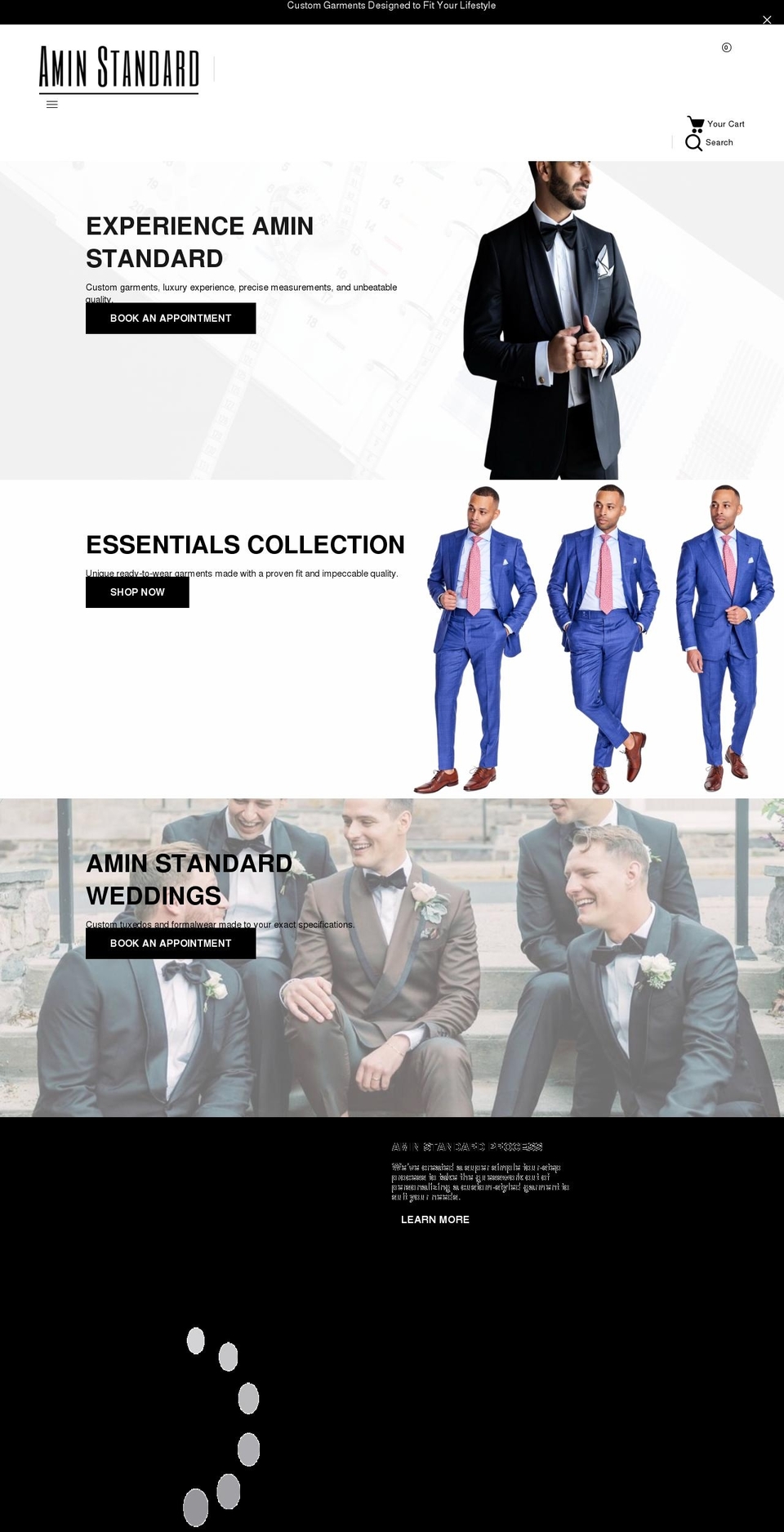 aminstandard.com shopify website screenshot