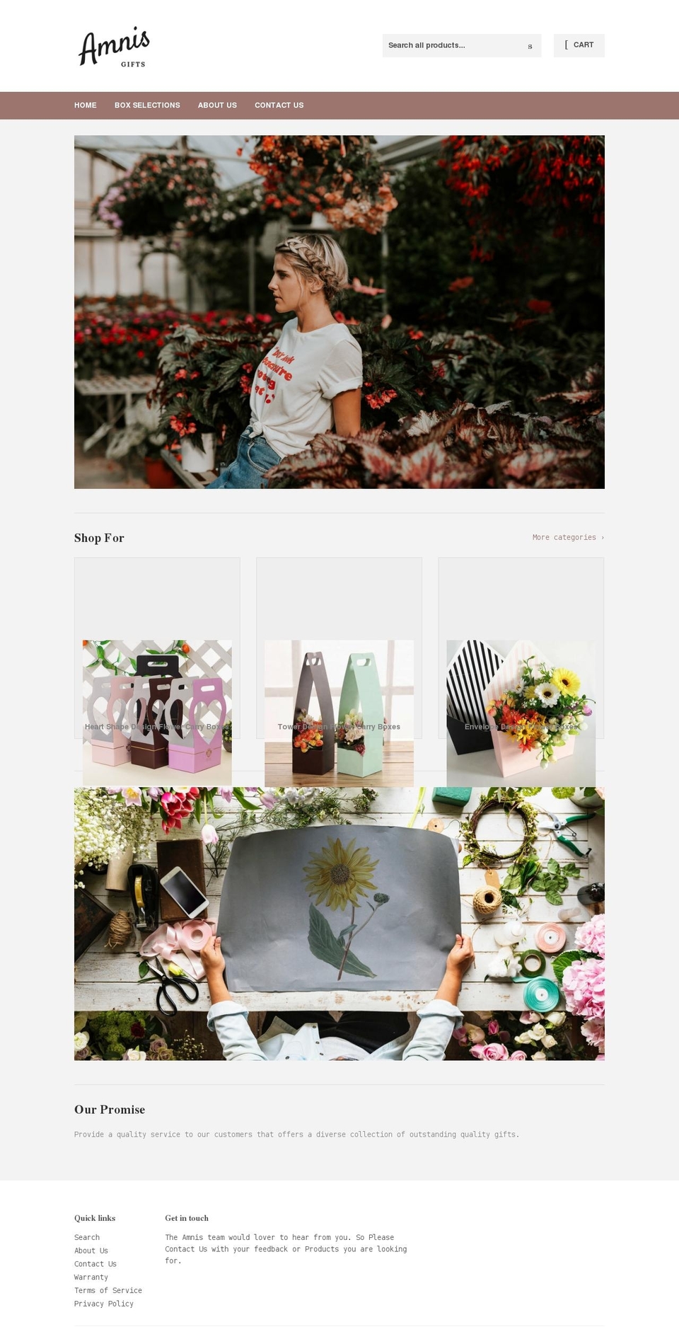 amnisgifts.com shopify website screenshot