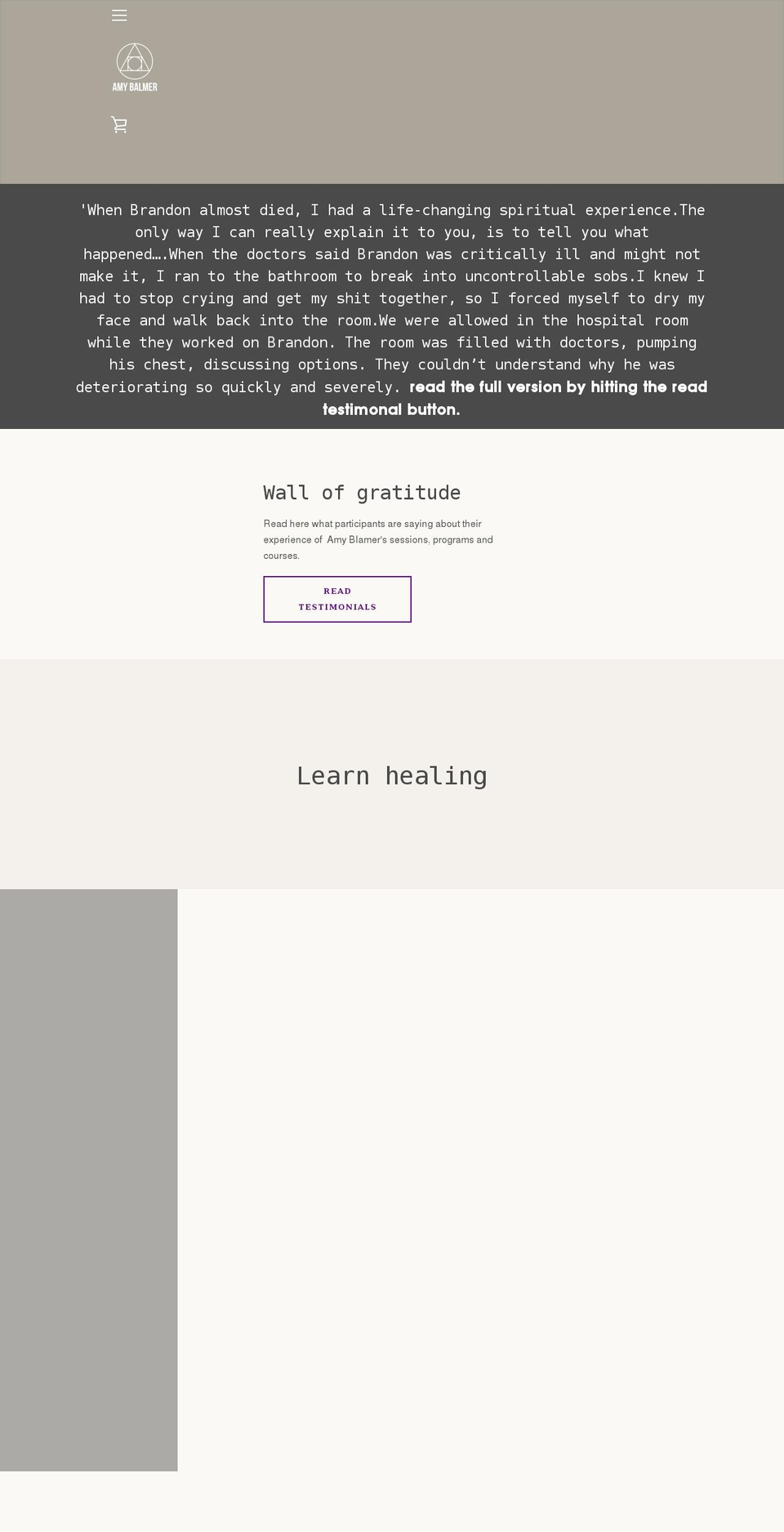 amybalmer.com shopify website screenshot