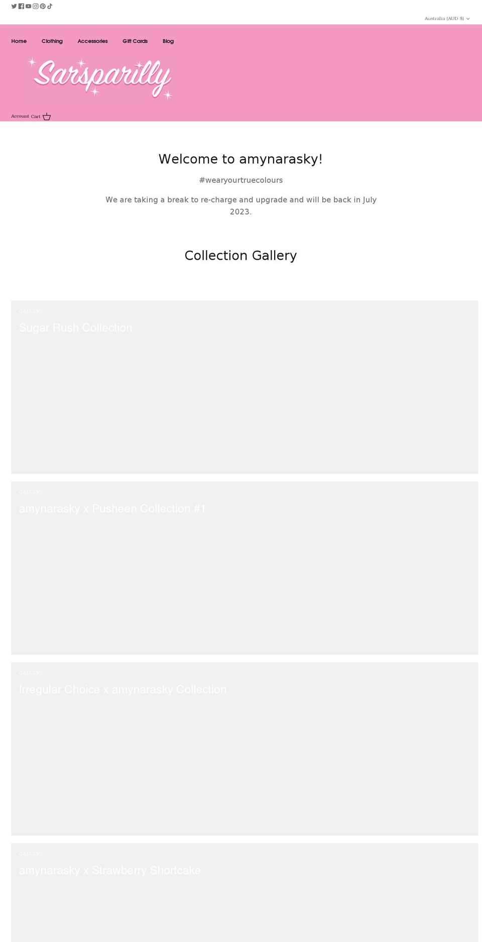 amynarasky.com shopify website screenshot