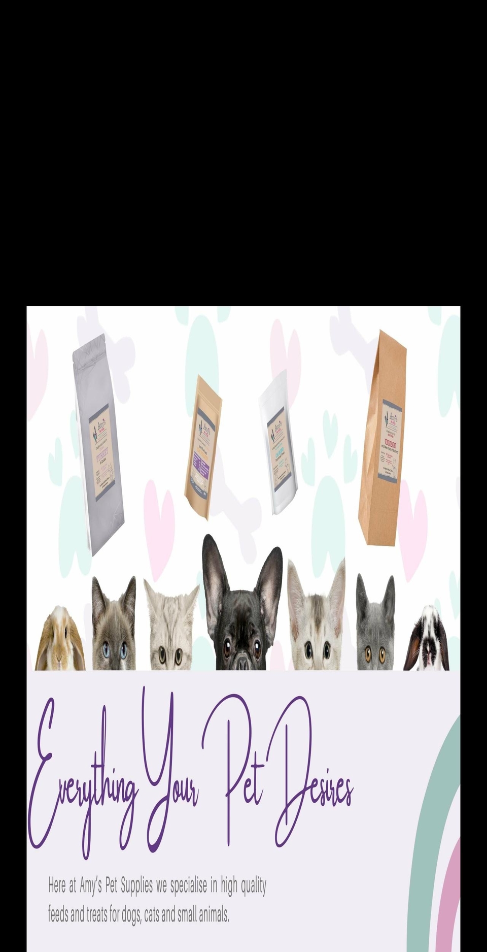 amyspetsupplies.co.uk shopify website screenshot