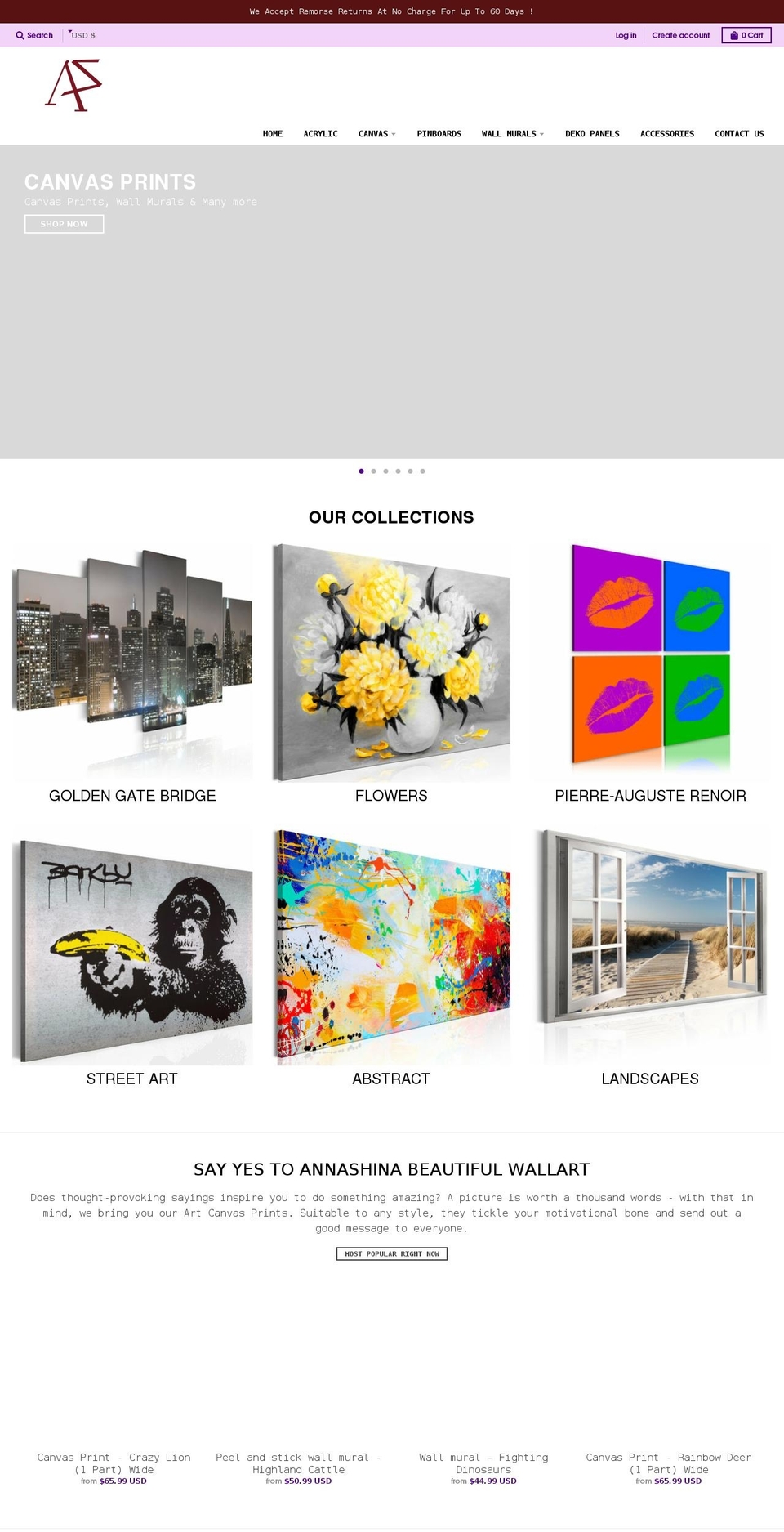 anaashina.com shopify website screenshot