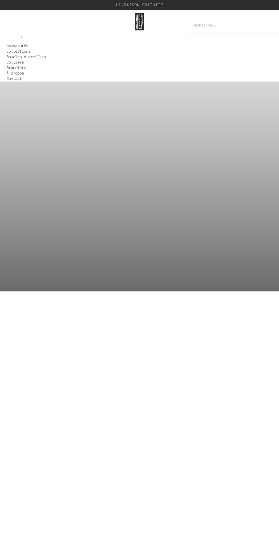 ananjay.com shopify website screenshot