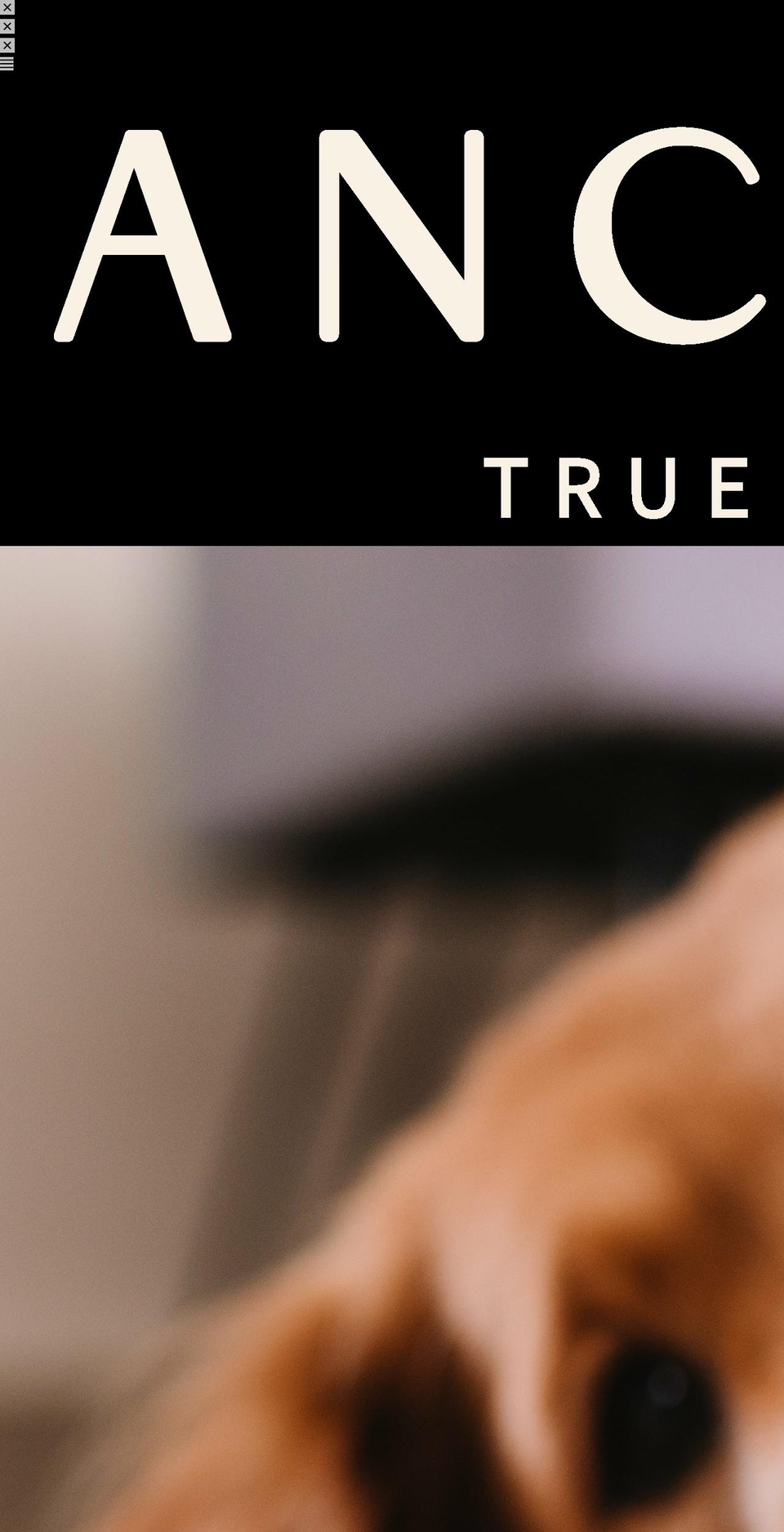 ancestral.company shopify website screenshot