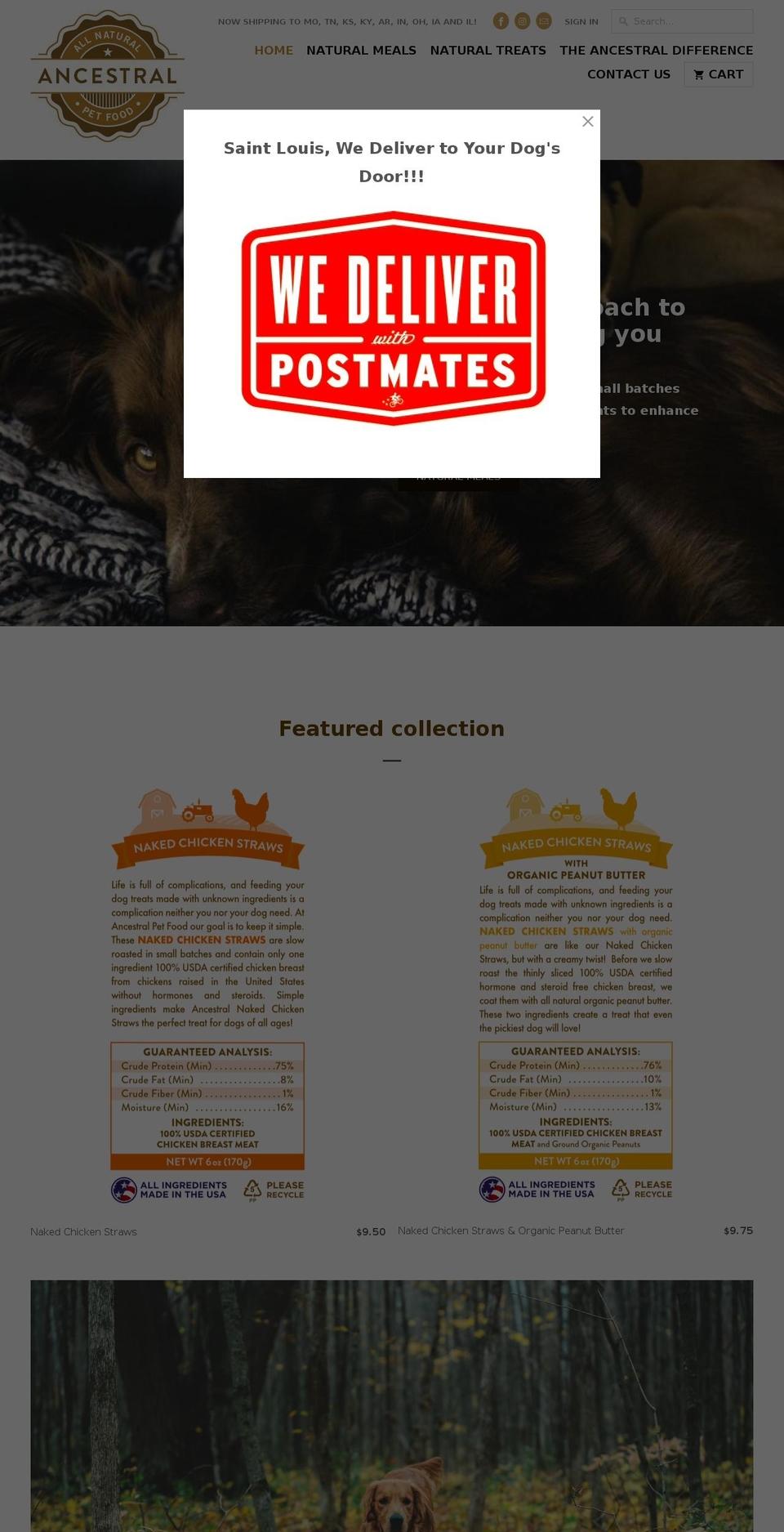 ancestralpetfood.com shopify website screenshot