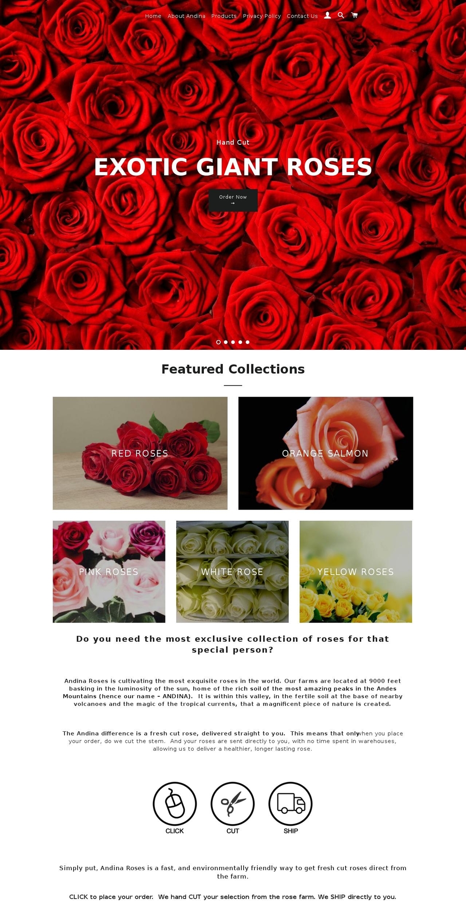 andinaroses.com — Shopify storefront screenshot