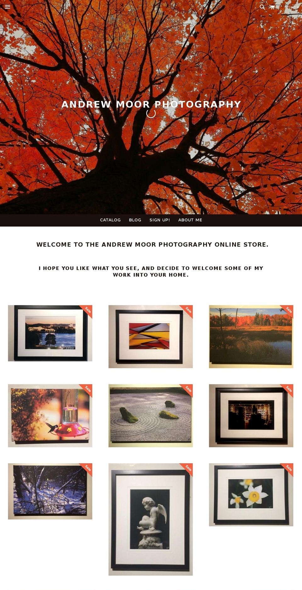 andrewmoorphotography.com — Shopify storefront screenshot