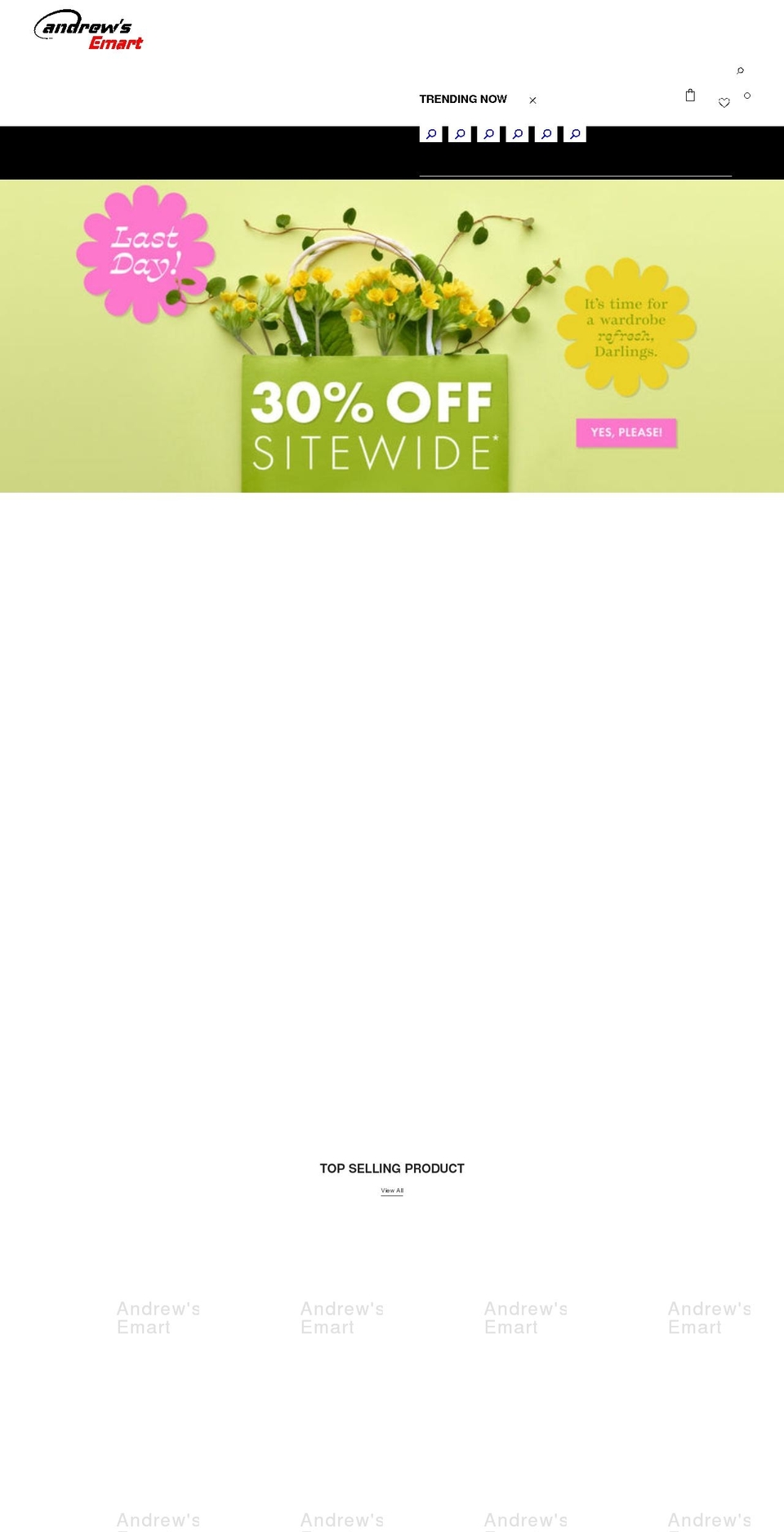 andrewsemart.com shopify website screenshot