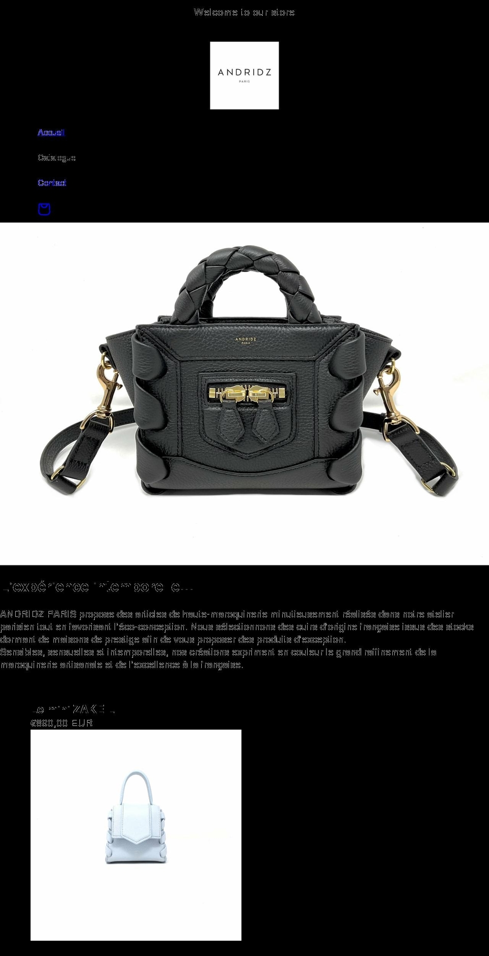 andridz.com shopify website screenshot
