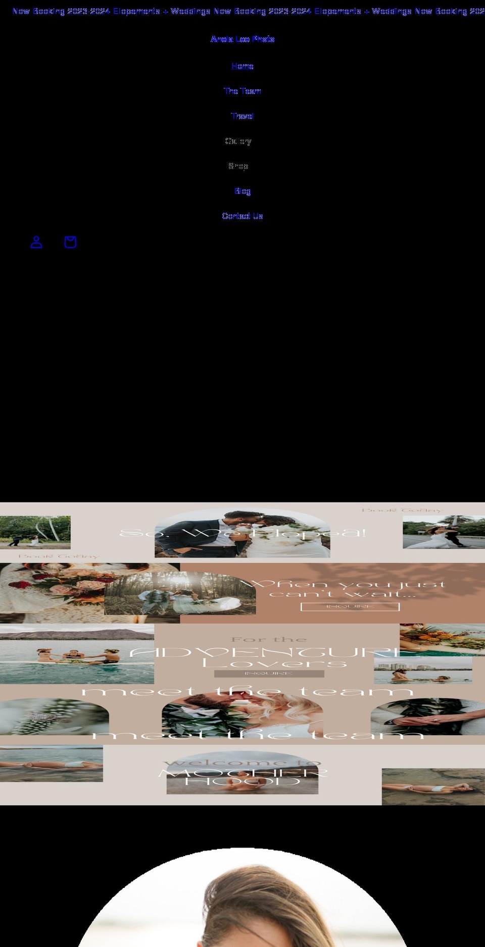 Cindy-shopify-theme- Shopify theme site example anelalee.com