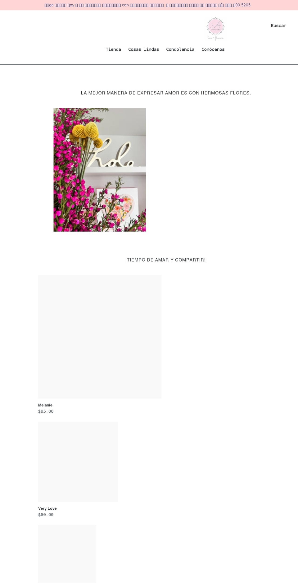 anemoneboxpr.com shopify website screenshot