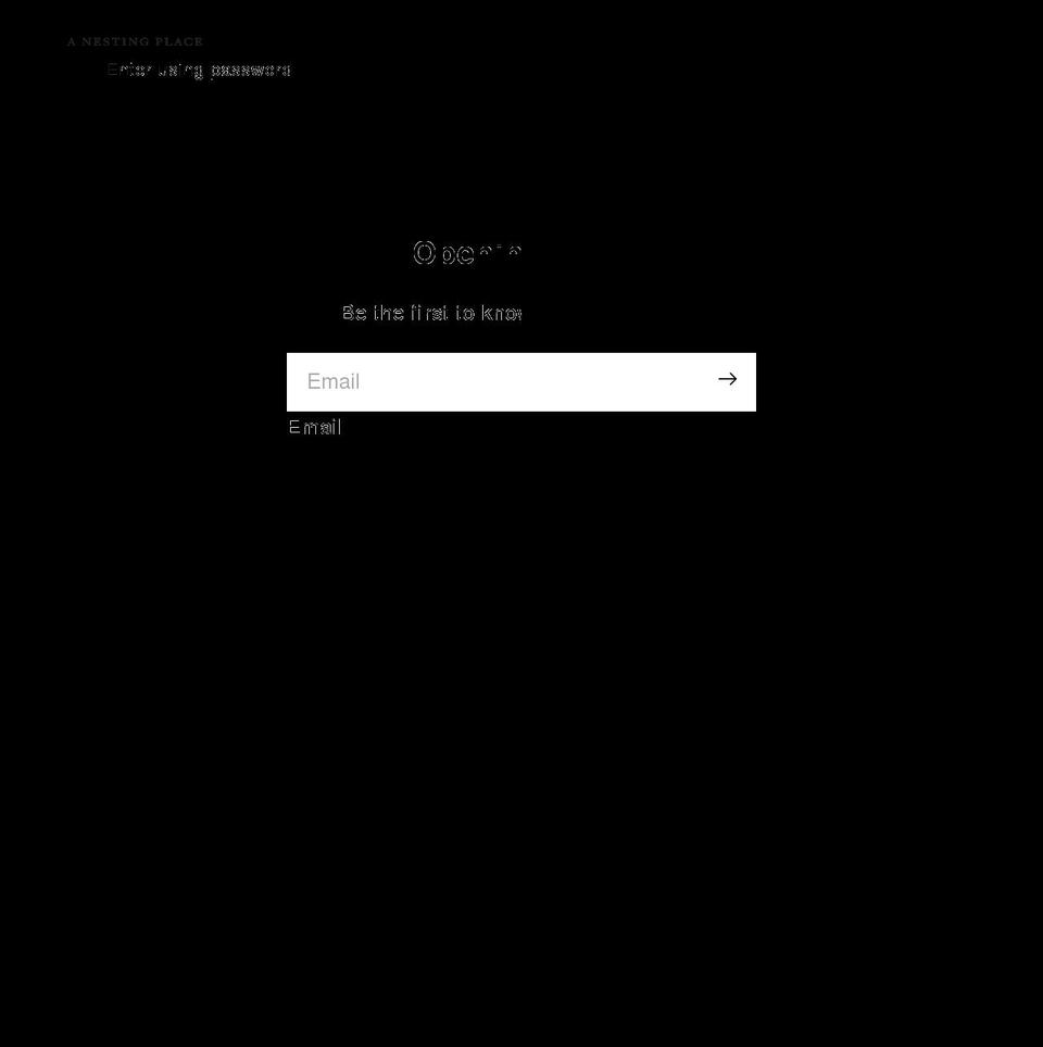 anestingplace.com shopify website screenshot