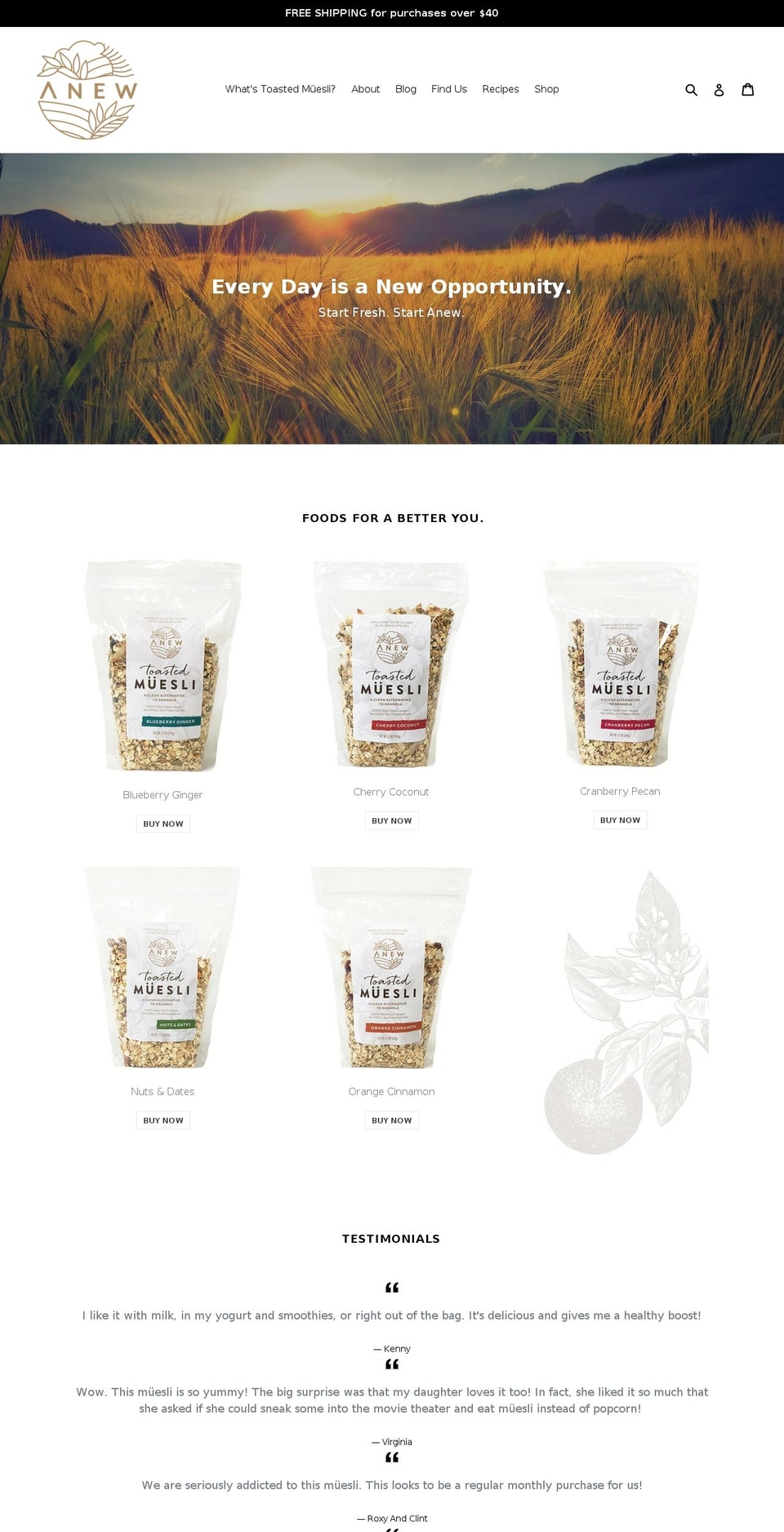 anewfoods.com — Shopify storefront screenshot