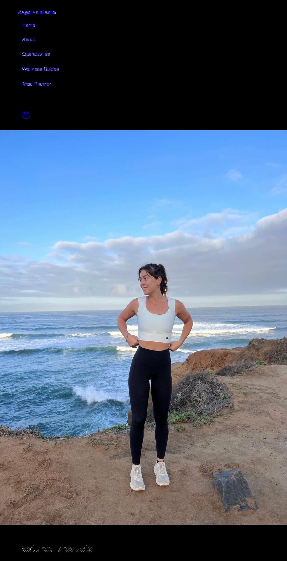 angelinanicolle.com shopify website screenshot