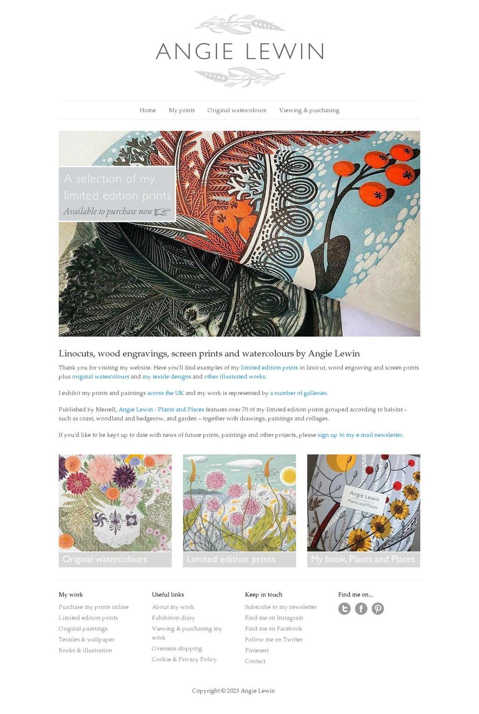 angielewin.com — Shopify storefront screenshot